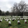Zachary Taylor National Cemetery - U.S. Department of Veterans Affairs gallery