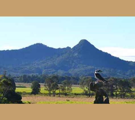 Byron Shire Council - Byron Bay Library - Wilsons Creek, NSW