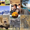 Seemore Safaris & Adventures gallery