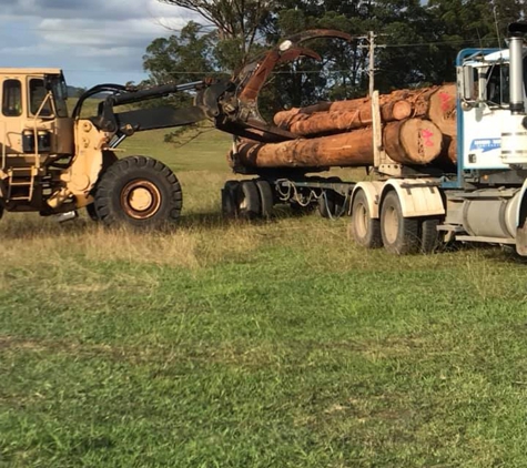 Long Flat Timbers - Yarras, NSW