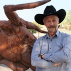 Arizona's Official Western Film Historian