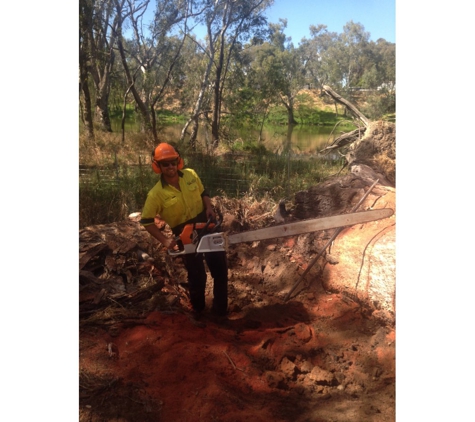 Curtis Tree Lopping Specialists
