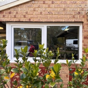 Gallery Image Number 5