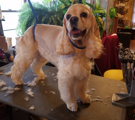 Pam's Pet Grooming - Southaven, MS