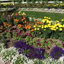 Woodland Park Congregation - Religious Organizations