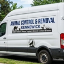 Animal Control & Removal Kennewick - Pest Control Services