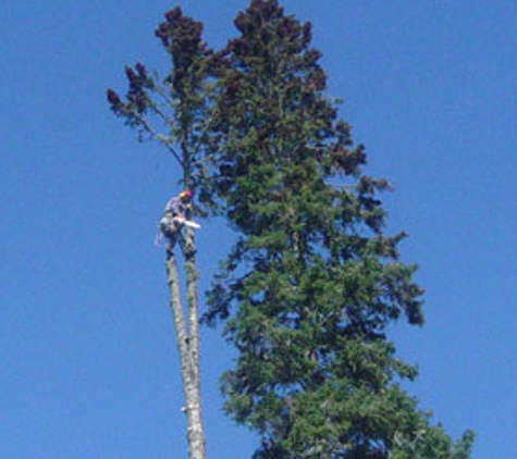 Highpoint Tree Care - Spring, TX