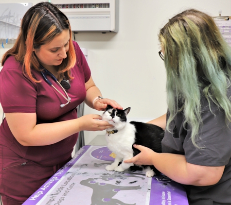 Coldwater Animal Hospital - Rochester, NY