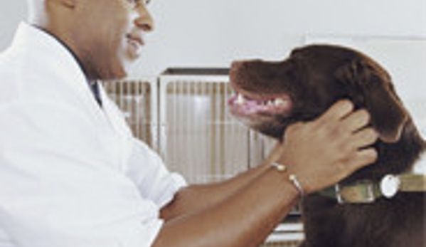 Saint  Francis Animal Hospital - Saint Cloud, FL