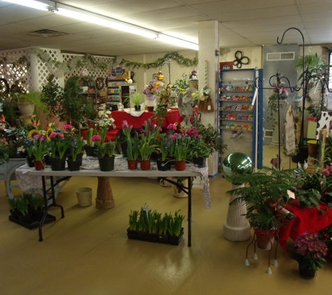 Davis Florist / The Plant Place - Harrisburg, PA