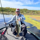 Delta Bassn' Guide Service - Fishing Guides