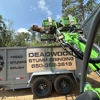 Deadwood Stump Grinding LLC gallery