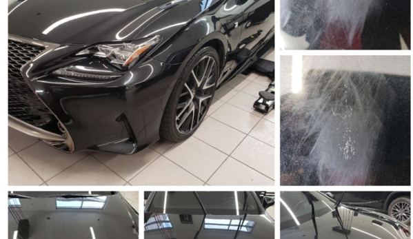 PREMIER PAINT PROTECTION & AUTO DETAILING - Wesley Chapel, FL