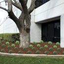 Future Landscape Service - Gardeners