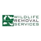 Wildlife Removal Services