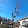 Robinsons Tree Service gallery