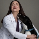 CityVet | McKinney - Pet Services