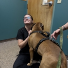 Eastfield Veterinary Wellness & Urgent Care