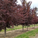 North Branch Nursery - Lawn Maintenance