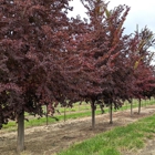 North Branch Nursery