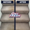 Oxi Fresh of Alexandria Carpet Cleaning gallery