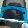 Photo #11
