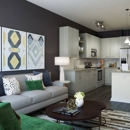 Berkshire Chapel Hill Apartments - Real Estate Rental Service