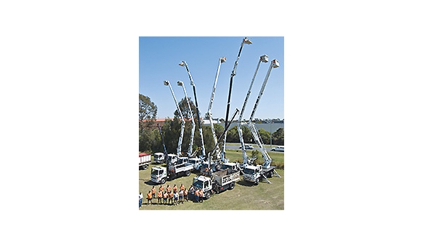 Vinton Tree Services & Plant Hire - Kingston, QLD