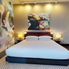 The Radical Asheville, Tapestry Collection by Hilton gallery