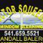 Doctor Squeegee Window Cleaning