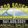 Doctor Squeegee Window Cleaning