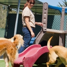 Acres Of Animals Boarding Kennel