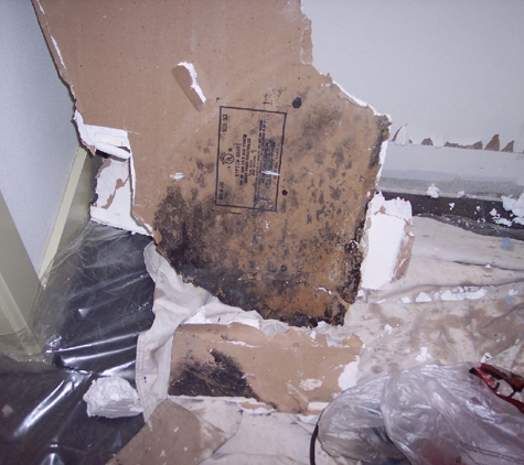 Accurate Mold Testing LLC - Redmond, OR. Water damage mold found behind drywall below window