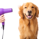 Canine Coture LLC - Dog & Cat Grooming & Supplies