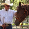 Bolo Hunt - Real Time Horsemanship gallery