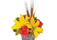 Driscoll S Florist 8 Mill Plain Rd Ste 4 Danbury Ct 06811 Yp Com