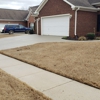 Radiant Exterior Cleaning Services gallery
