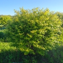 Rolling Hills Nursery - Garden Centers