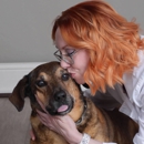 CityVet | Providence - Pet Services