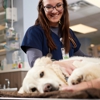 Emergency Animal Hospital of Crystal Falls gallery