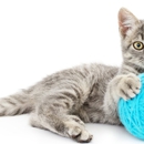All Creatures Veterinary Service - Veterinarians