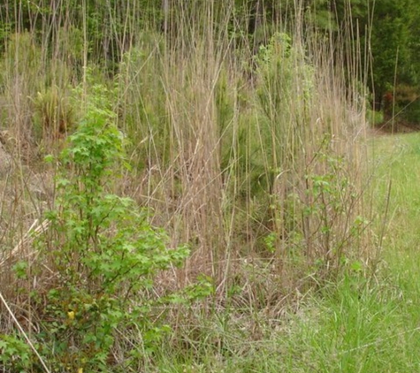 Final Grading & Landscaping - Raleigh, NC. Land Clearing