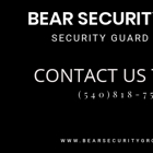 Bear Security Group LLC