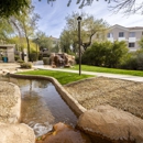 Vintage at Scottsdale - Apartments
