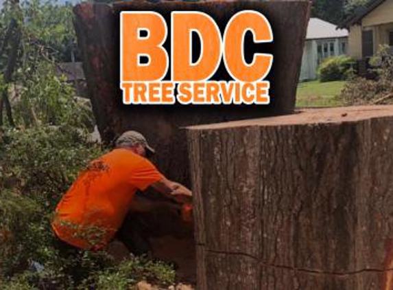 BDC Tree Service