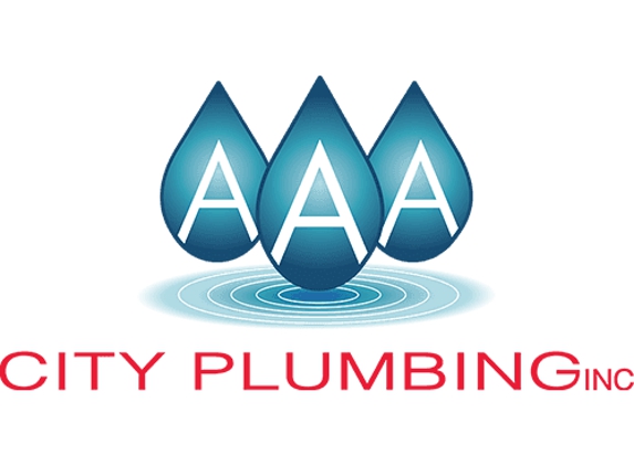 AAA City Plumbing - Rock Hill, SC