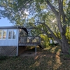 Trees by Forrest | Tree Removal Company in Plymouth, MN gallery