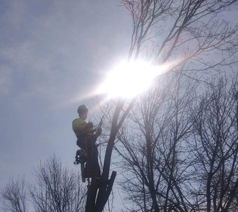 Brown's Tree Service, LLC - Franklin, IN