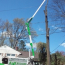 A&M AFFORDBLE TREE SERVICE - Tree Service