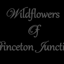 Wildflowers of Princeton Junction, Inc - Gift Baskets